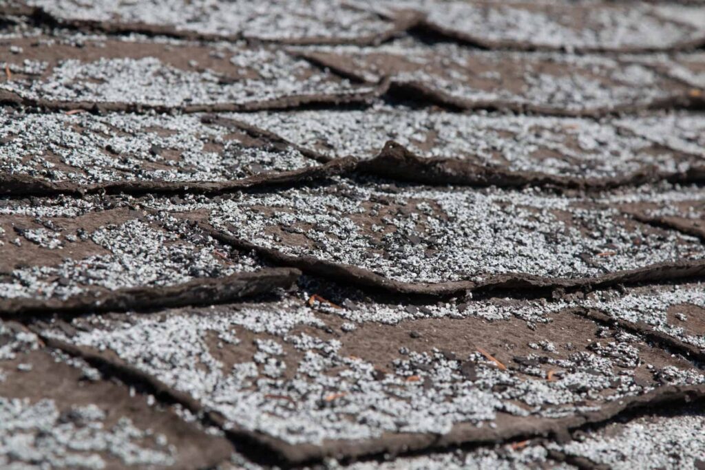 Lifted shingles and organic growth are signs of a failing roof.